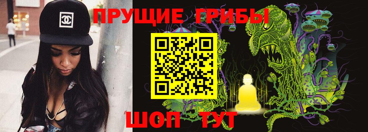Нальчик  Псилоцибиновые грибы Psilocybine cubensis  купить наркотики цена  Вход с VPN 